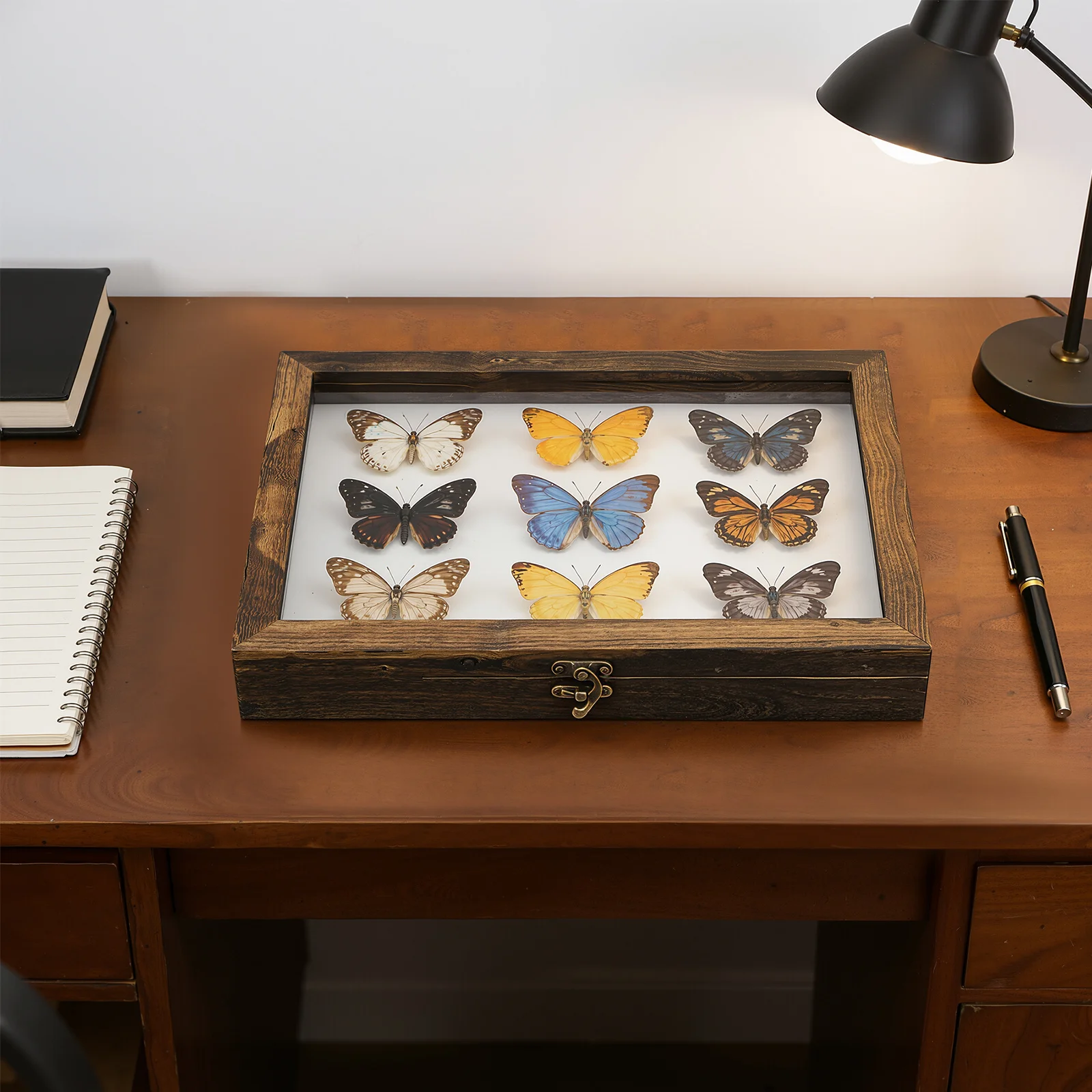 

1Set Insect Specimen Display Box Wooden Case Transparent Lid Durable Material Suitable for Butterfly Plant Jewelry Collection