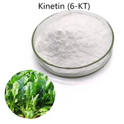 6-Furfurylaminopurine Kinetin Cytokinin 6- KT 98% TC
