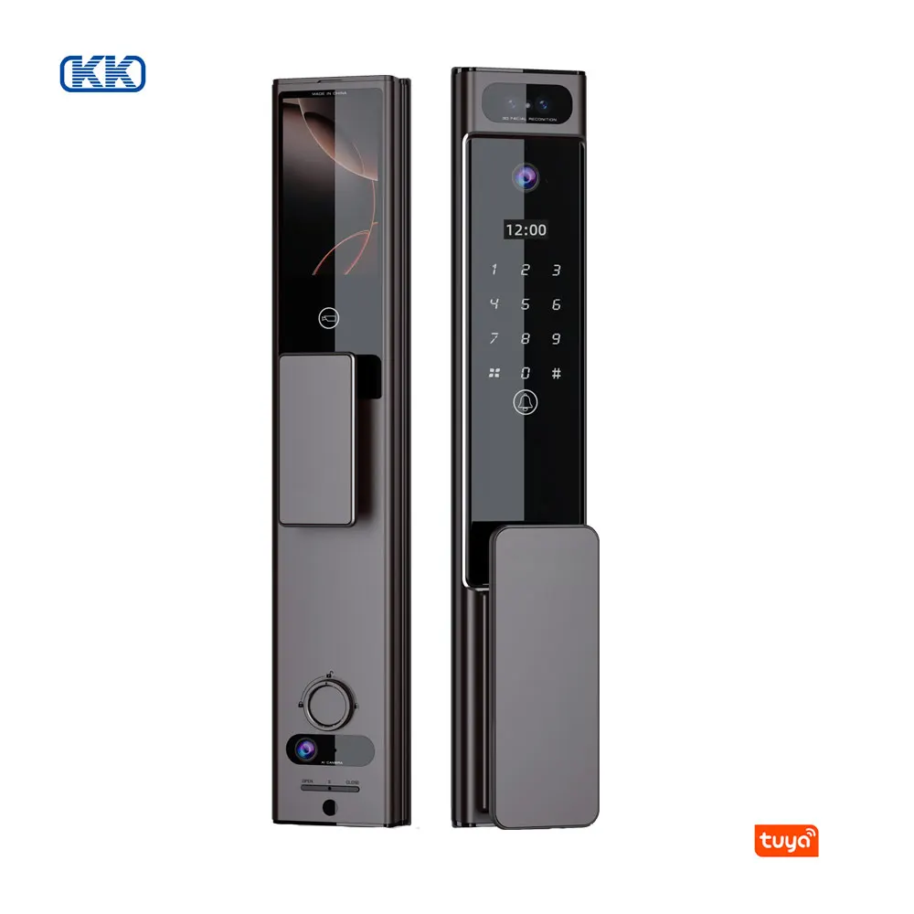 

Smart Wifi Door Lock With Fingerprint 3D Facial Recognition And Intercom Camera Palm Vein Memory Card Cloud App Integration