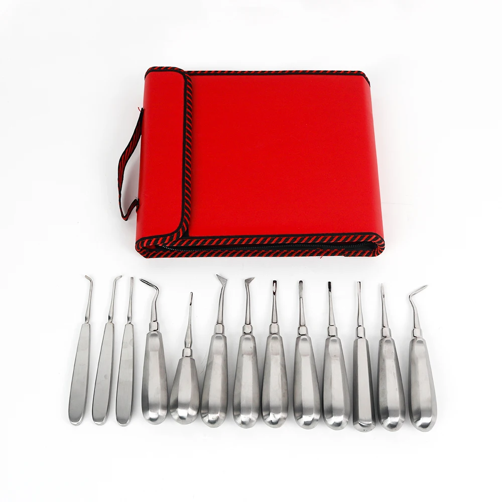 13Pcs/kit Stainless Steel Dental Oral Surgery Root Elevators Set Tooth Extraction Surgical Instruments Dental Tool