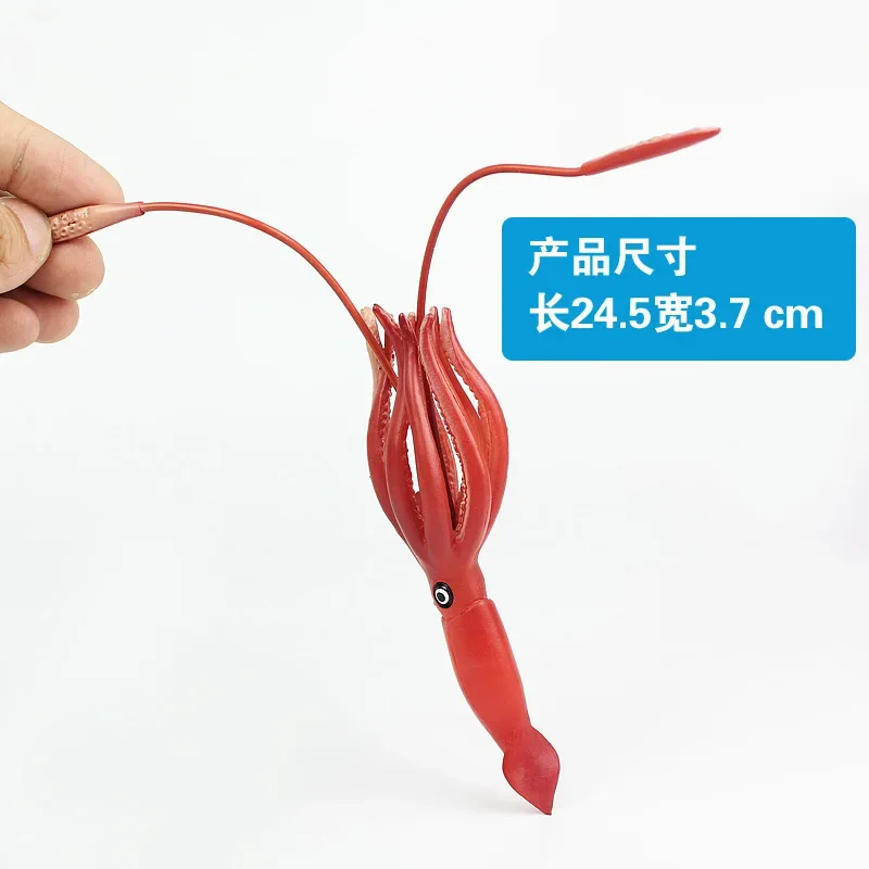 Toys Squid Calamary Simulation Model Marine Animals Sea Animal Kids Gift Educational Props Action Figures