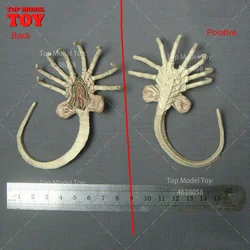 1/6 skala Alien Predator bestia Facehugger larwy figurka akcji figurka akcesoria Model dla 12 