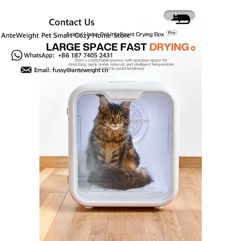 Modern Stainless Steel Pet Dryer Box Charge Feature Low Noise Fast Drying for Cats Dogs-Large Capacity Convenient Design