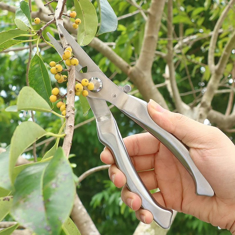 Pruning Shears Metal All-steel Fruit Picking Gardening Rough Branch Shears Multi-functional Labor-saving Rebound Pruning Tool