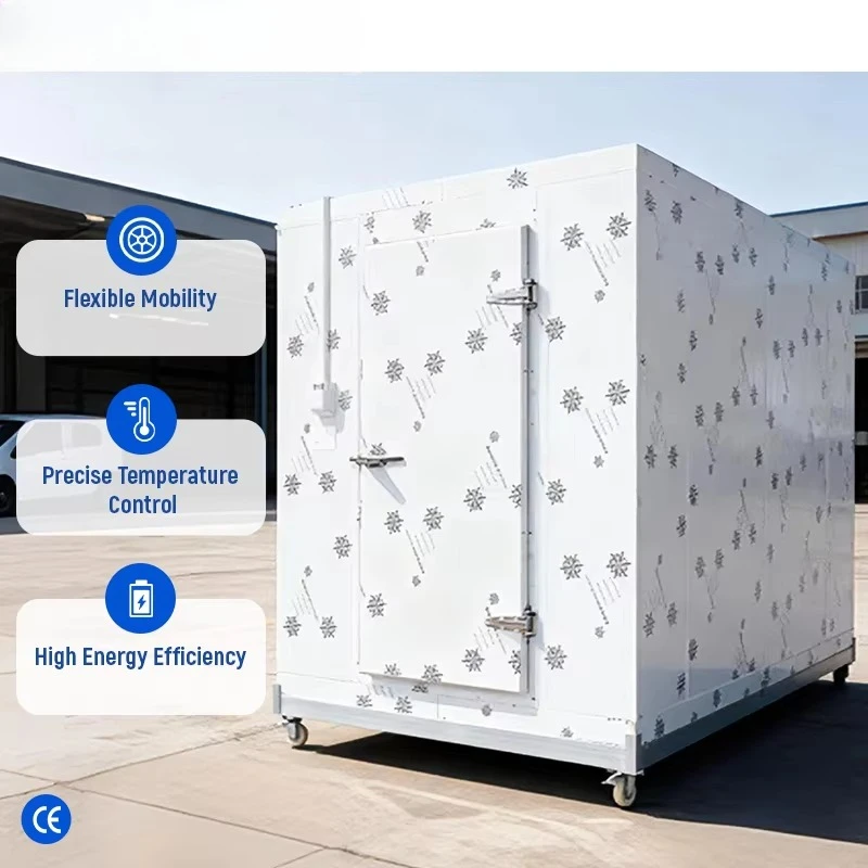 40ft 18℃ Solar Portable Refrigeration Unit for Remote Construction Sites Commercial Cooling Custom