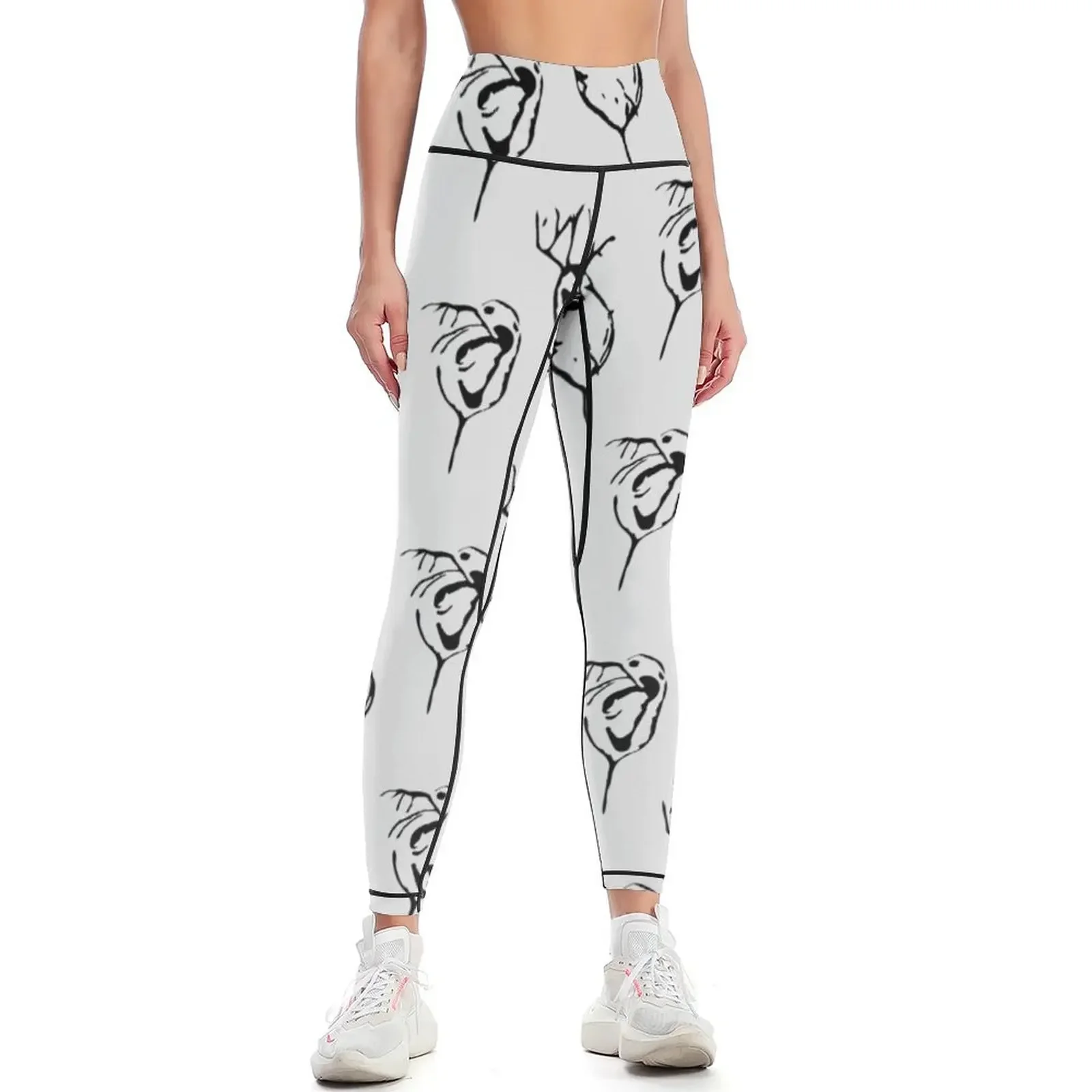 

Daphnia spec. (Crustacea) Leggings sporty woman gym sporty woman push up fitness set gym gym pants Womens Leggings