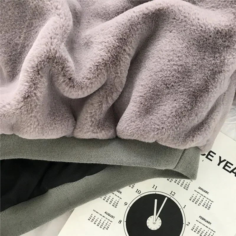 Autumn Winter Warm Double-sided Plush Hoodies Women Korean Solid Loose Long-sleeved Pullover Coat Y2k Casual Sweatshirts