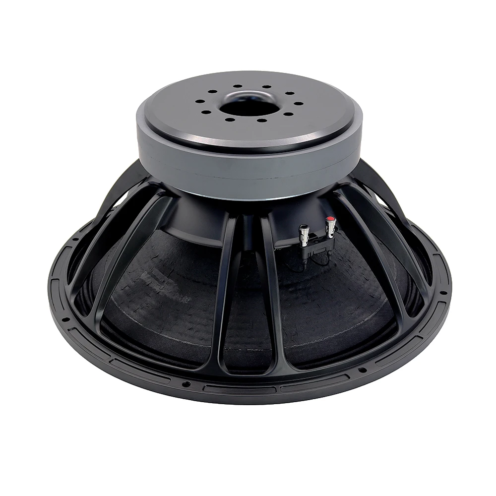 Outdoor Professional Audio 21-Inch Subwoofer 1800W RMS 8 5