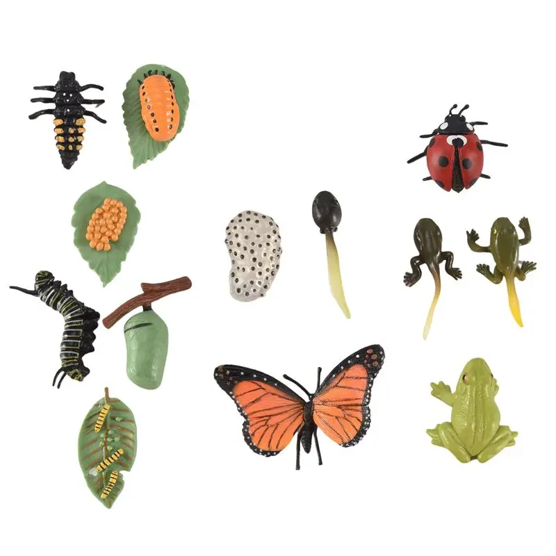 

Наборы фигурок насекомых A63T-3: Жизненный цикл бабочки, лягушки, божьей коровки. Модель для изучения цикла развития.