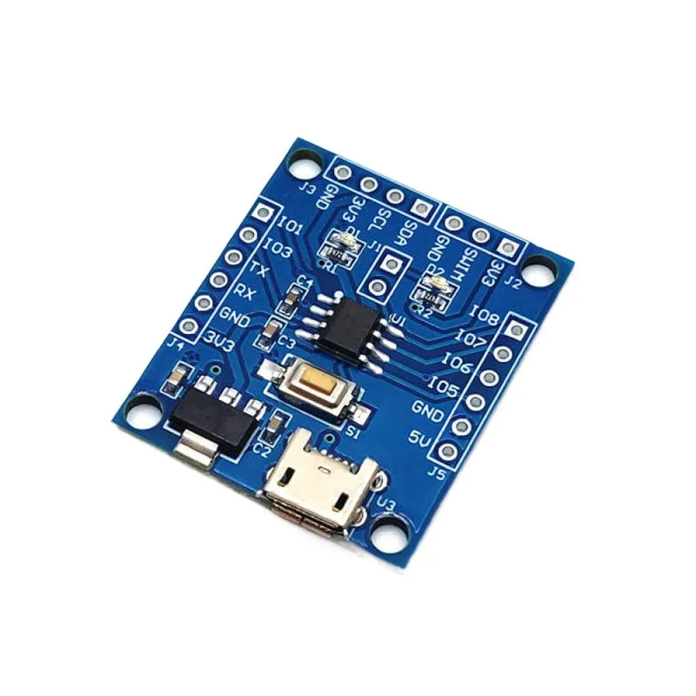 Development Module …