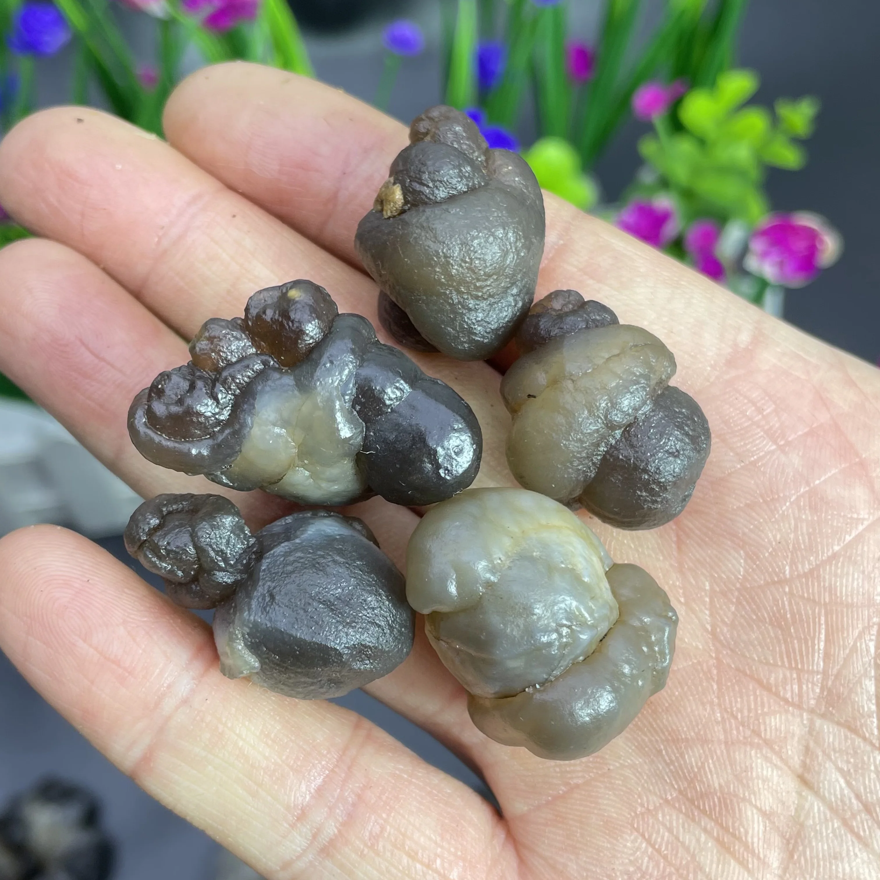 Natural Grey Panda Agate Rock Crystal Quartz Material Chakras Energy Healing Stone Specimen Aquarium Garden Decoration 02