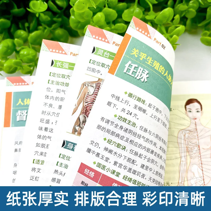 العلاج الغذائي المتزامن والتدليك لأمراض الجهاز الهضمي، كتب العافية TCM