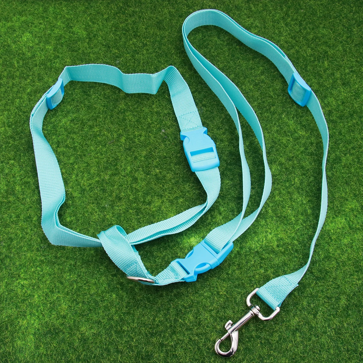 

Adjustable Waist Dog Runner Blue Leash for Pets Running Hiking Jogging Walking Durable Hands Free Waist Dog Walker