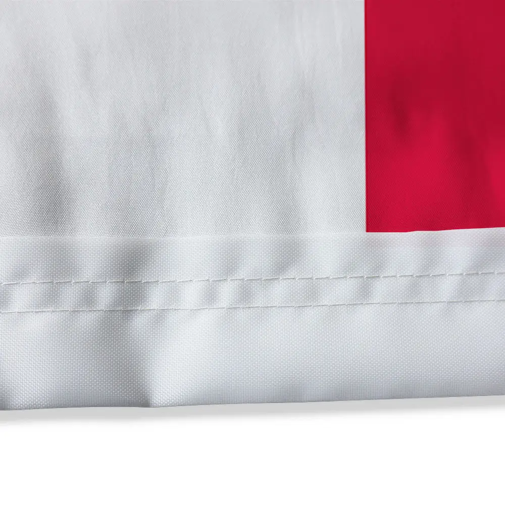 Hot Sell 100% Polyester Digital Printing iran flag lion old lion and sun flags
