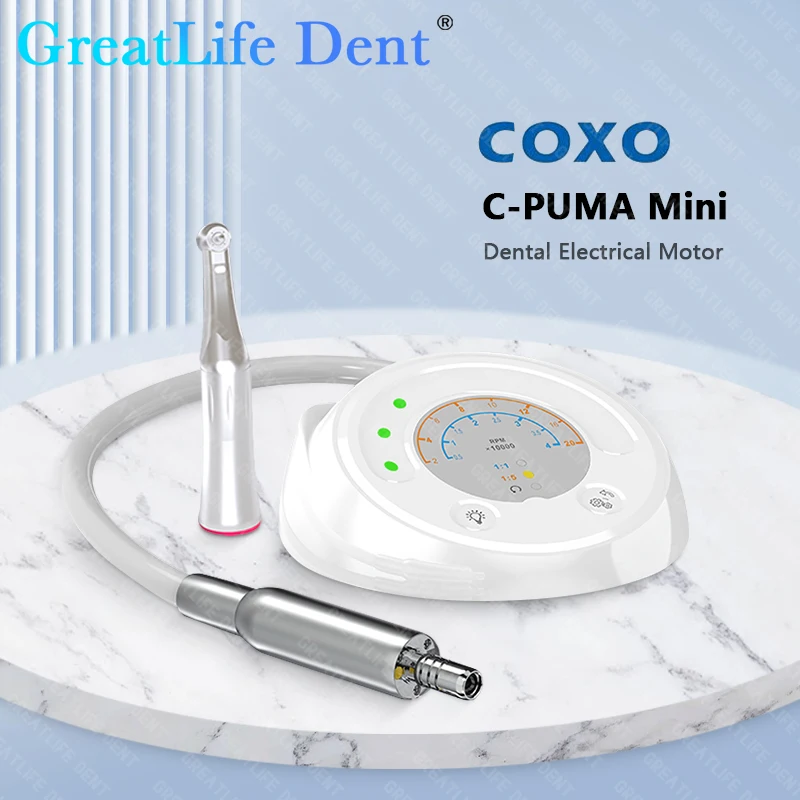 GreatLife Dent COXO C-Puma Mini Electrical Brushless Motor 1:1 Endodontic Instrument All in One 1:5 Polishing And Trimming Motor