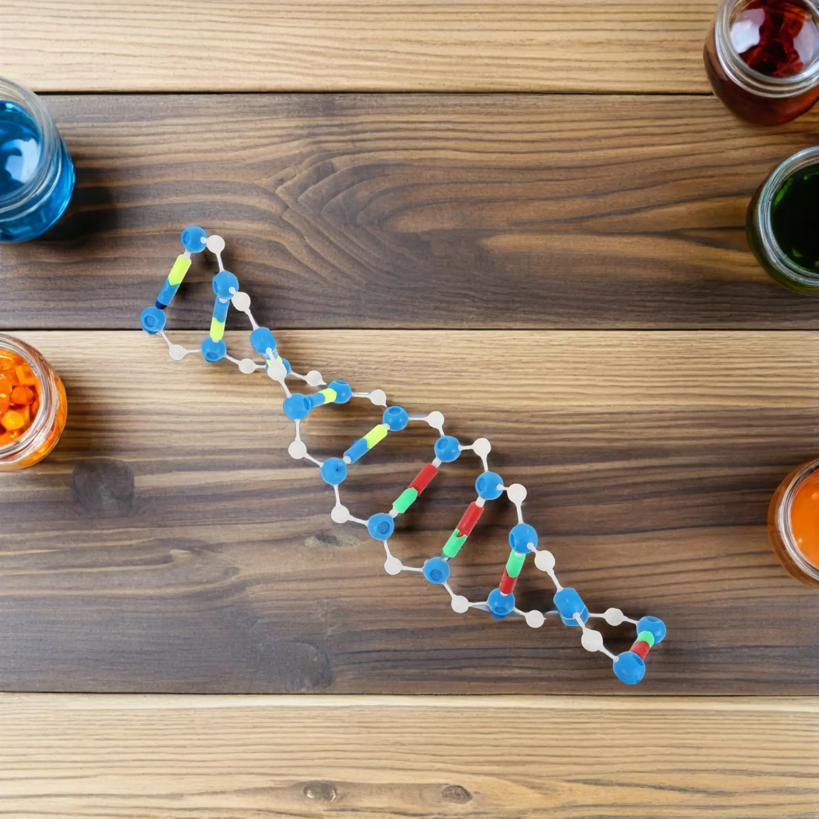 Educational Human Genes Dna Double Helix Scientific Molecular Structure Learning Tool Biology Supply Dna Molecule Classroom