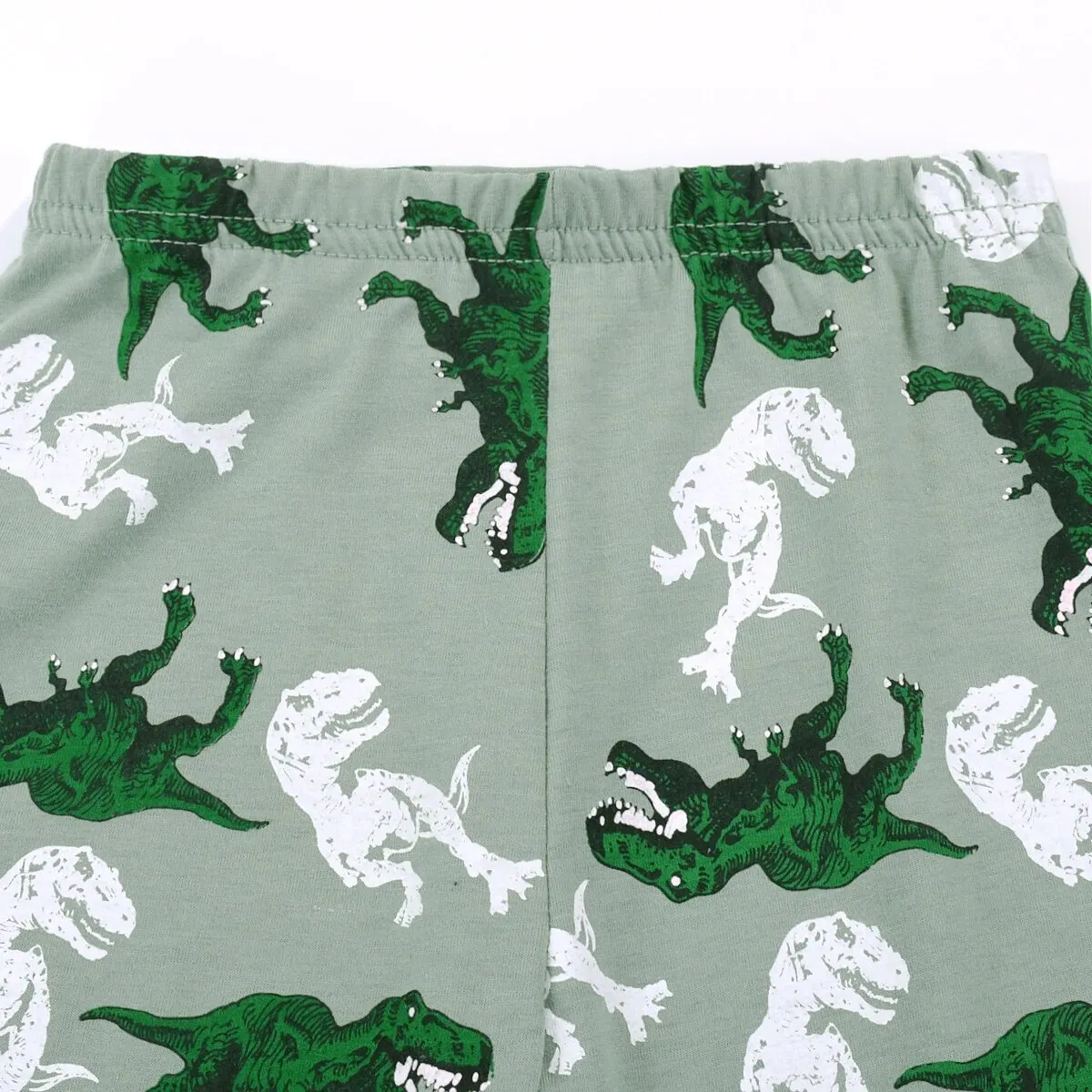 Pijamas para niños, conjunto de pantalones y top de manga larga con estampado de dinosaurio T-rex, conjunto de pijama informal cómodo, ropa de