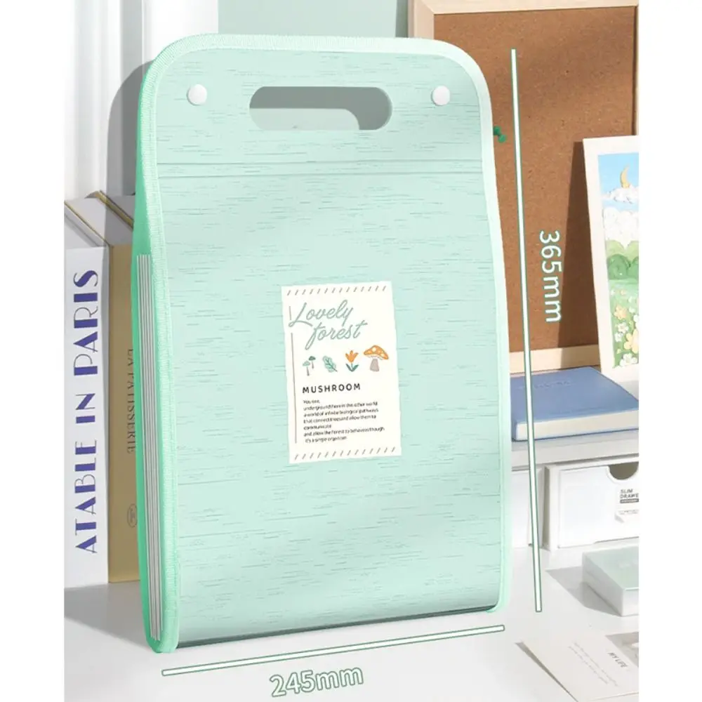 Bolsa de archivo A4 de alta calidad, carpeta de almacenamiento de papel de prueba de gran capacidad de 13 capas, clasificación, bolsa de datos portátil para estudiantes