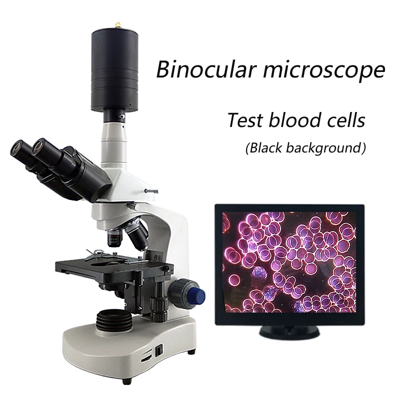 

Black background blood cell detector, high-definition microscope, professional laboratory tool for detecting cell specimens