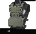 Suit 1-RG