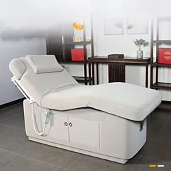 Aesthetic Stretcher Beauty Massage Stretchers Electric Tables Professional Chair Portable Camas Y Muebles Cosmetology Couch