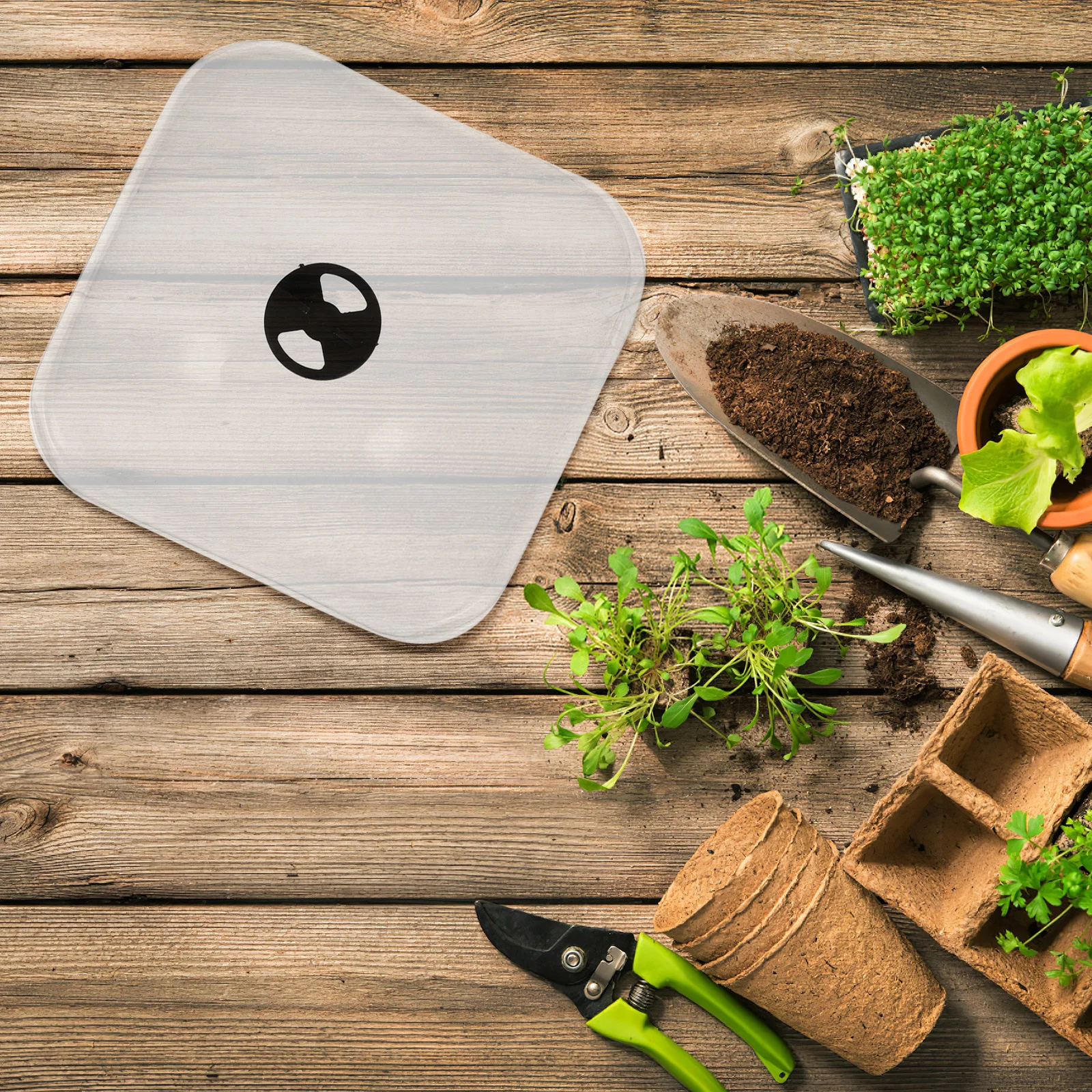 

6Pcs Garden Dome Plant Cover Plastic Cloche Dome Frost Protection Frost Guard for Outdoor Plants Seedlings Air Vent Breathable