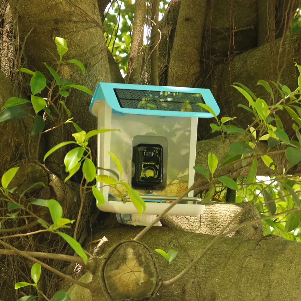 STLFWild Bird House CamerassWireless AI Identify Bird Species Auto Capture Bird Video & Notify