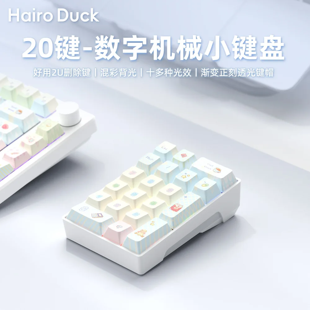 Key Mechanical Numeric Keypad Hot-Swap Blue Switch Wired Rgb Backlight Mini Number Pad Laptop Accounting Office Cute Desk