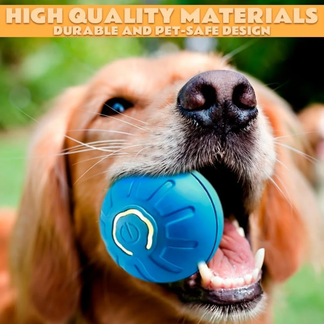 Bouncing Ball for Dogs - Fun Interactive Toy, USB Rechargeable, Durable Design, Water-Resistant for All Play Environments image 3