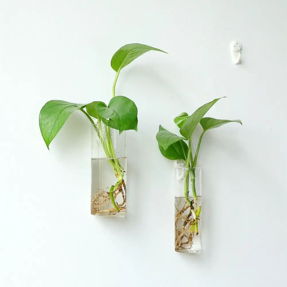 Fish Tank Purify House Home Decorations Hydroponic Plants Glass Crafts Flower Vase Hydroponic Vase Plant Container Flower Pot