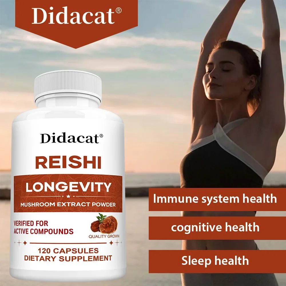 كبسولات مستخلص ريشي - تعزز الطاقة والقدرة على التحمل، وتعزز الذاكرة والتركيز، وتحسين النوم وتخفيف التوتر #1