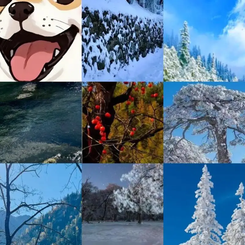 

Адаптер-конвертер B Key M.2 SSD в 2.5-дюймовый SATA (2230-2280)