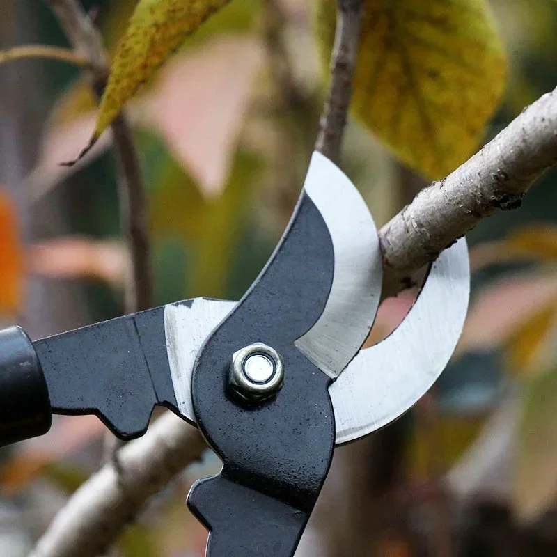Anti Handle Pruning Lopping Shears Garden Bonsai Tools Ioppers 65Mn Hedge Tree Scissors Cutter ing Tool
