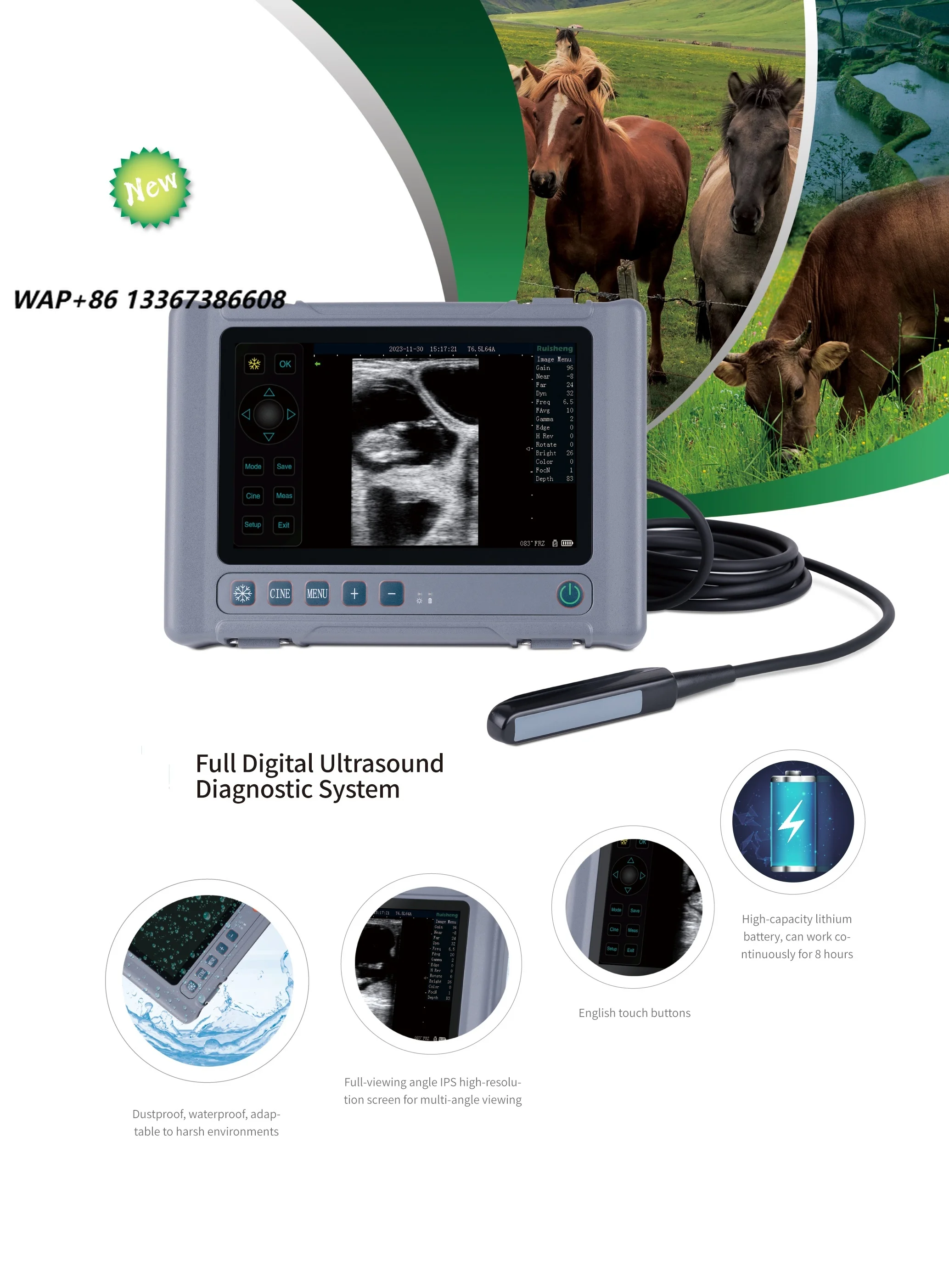 Portable hand-held h linear rectal probe for use in animal clinics, pet clinics, and veterinary monitoring equipment