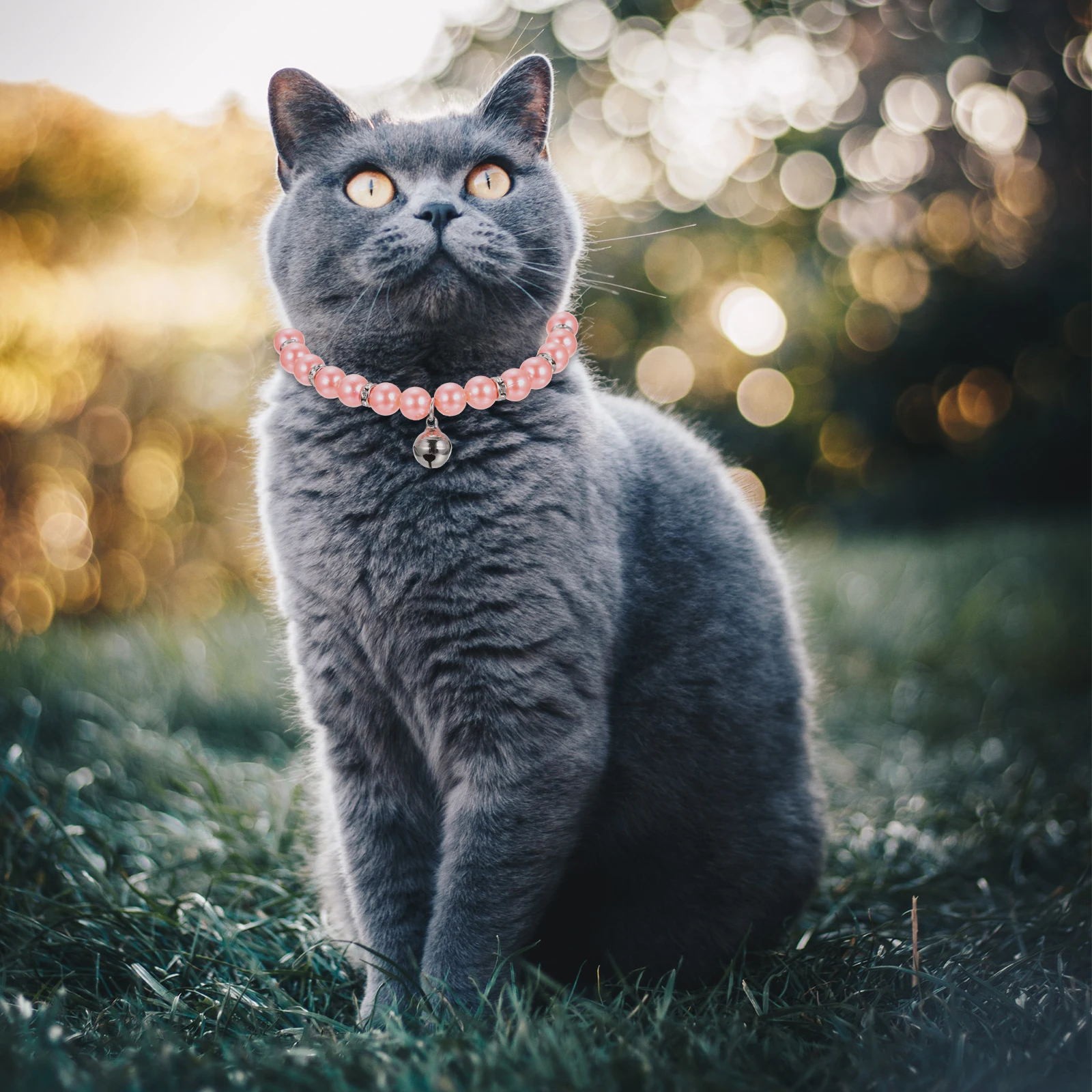 

2pcs Cat Collars Beaded Necklaces for Girl Cats Photo Prop Adjustable Lightweight Skin Friendly Reusable Pet Necklace Christmas