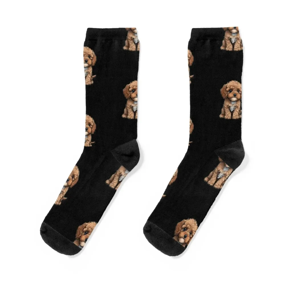 Cavapoo Cockapoo Cavapoo Dog Cavalier King Charles and Poodle dog Gift Fom Mom dad Kids Socks