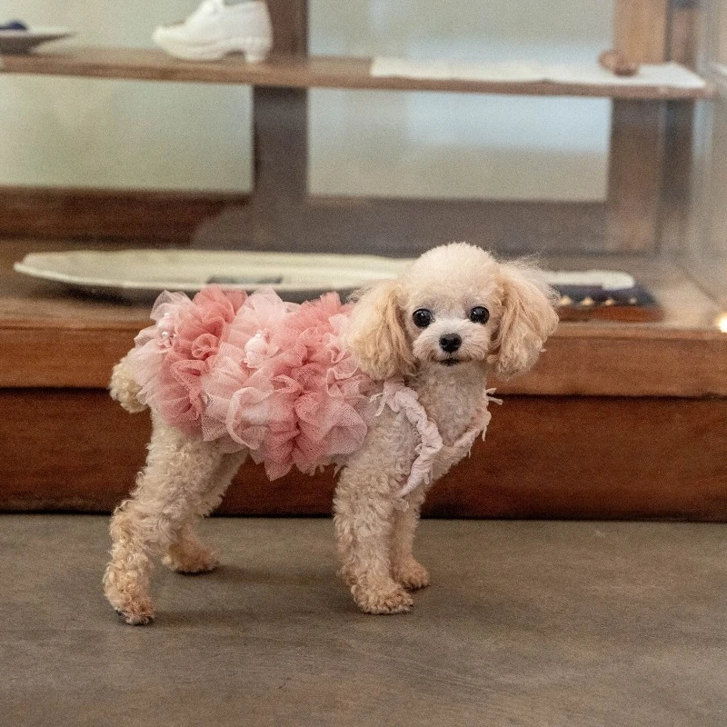 Elegant Puppy Suspender Tutu Dress Gradient Pink Lace Mesh Dress Pearl Embellished Pet Costume for Small Dog Birthday Wedding