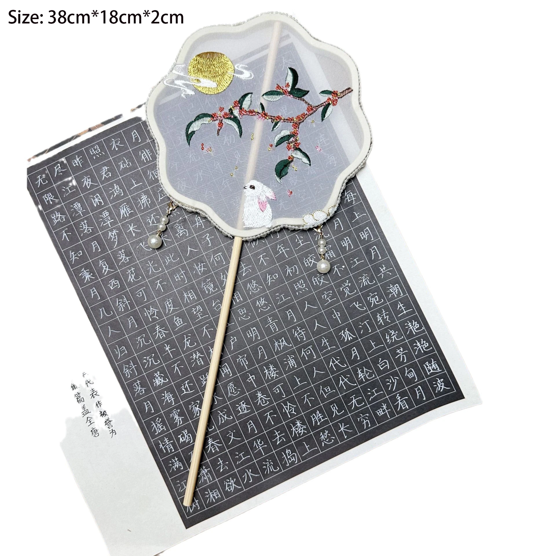 Éventail Circulaire Chinois à Pompons, Broderie à la Main Double Face