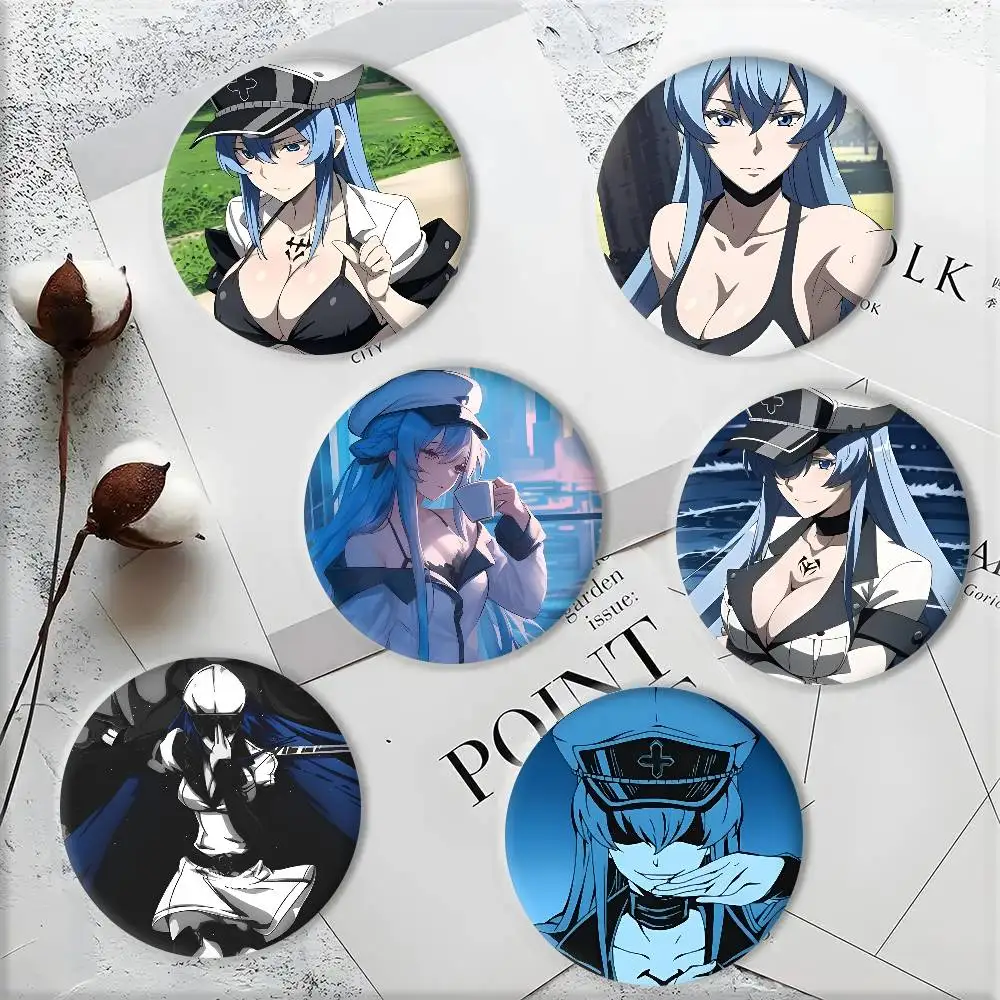 Anime A-Akame ga Kill Ice Queen E-Esdeath Badges Round Cosplay Pin Bag Decor Fans Collect Friends Gifts Brooch Souvenir