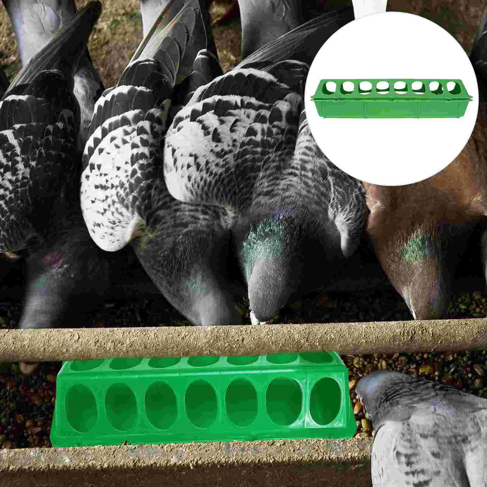

Hen Feeding Cup Pigeon Food Box Bird Feeders for Outdoors Bowl Dispenser Plastic Baby Chicken