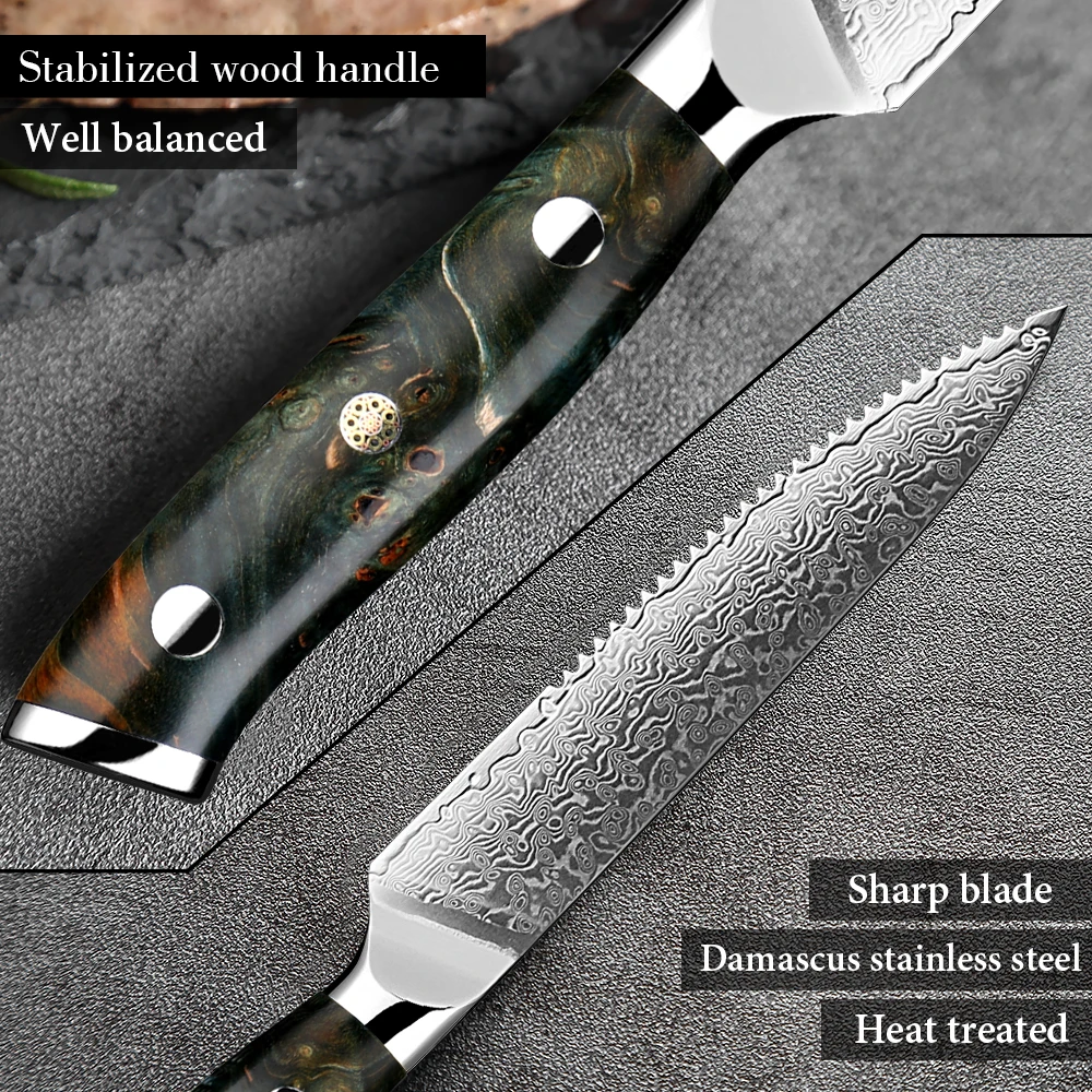 Luxury Damascus Steak Knife Set 67Layer Japan VG10 Steel Razor Sharp Serrated Blades Stabilized wood handle Bread Dinner knife