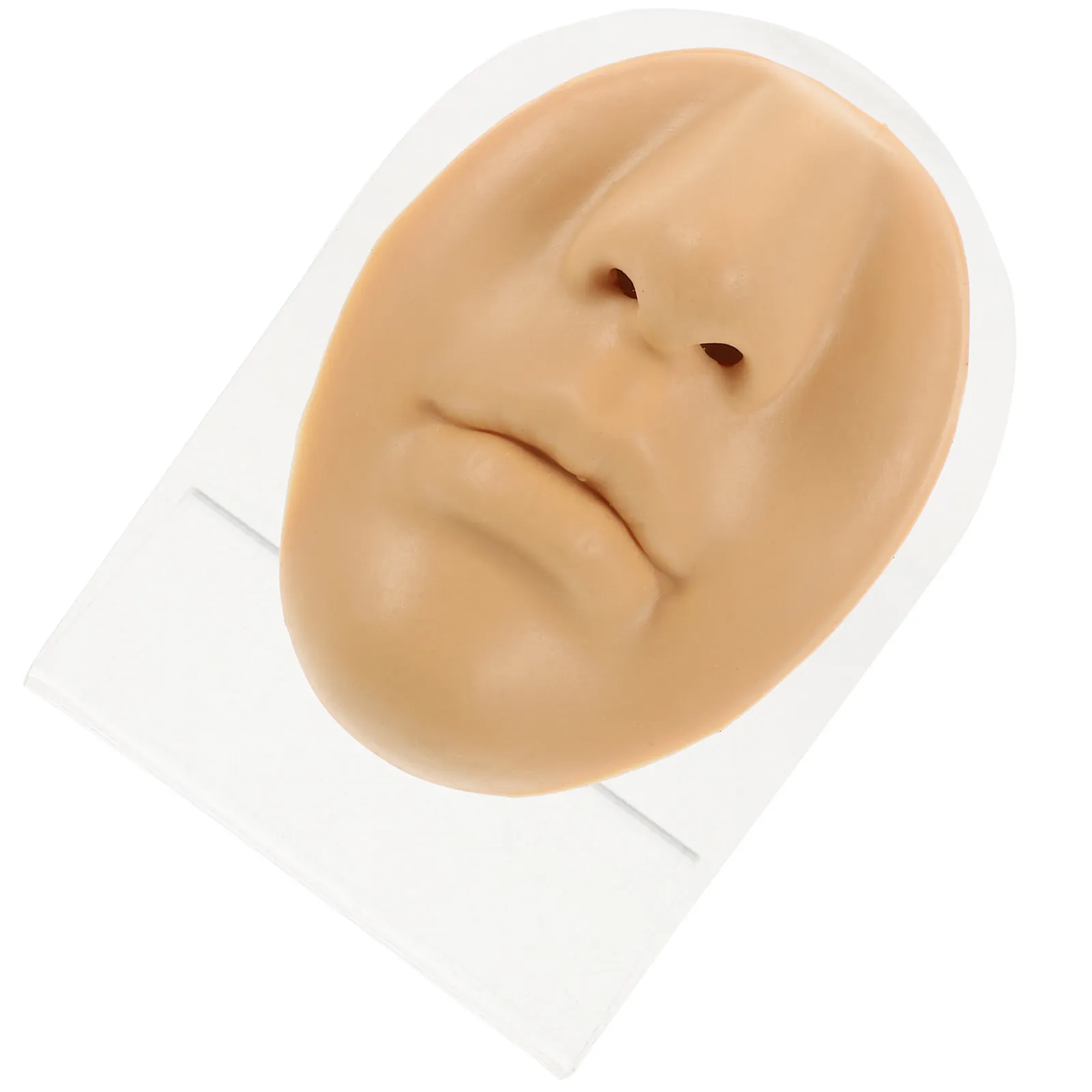Human-Size Silicone Mouth Model for Piercing Practice, Teaching & Display – Realistic Facial Training Tool