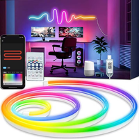 5V USB RGBIC Neon LED Strip,1/2/3/4/5M IP65 RGBIC Neon lamp tape with Bluetooth App and Remote For DIY Neon Deocoration Lighting