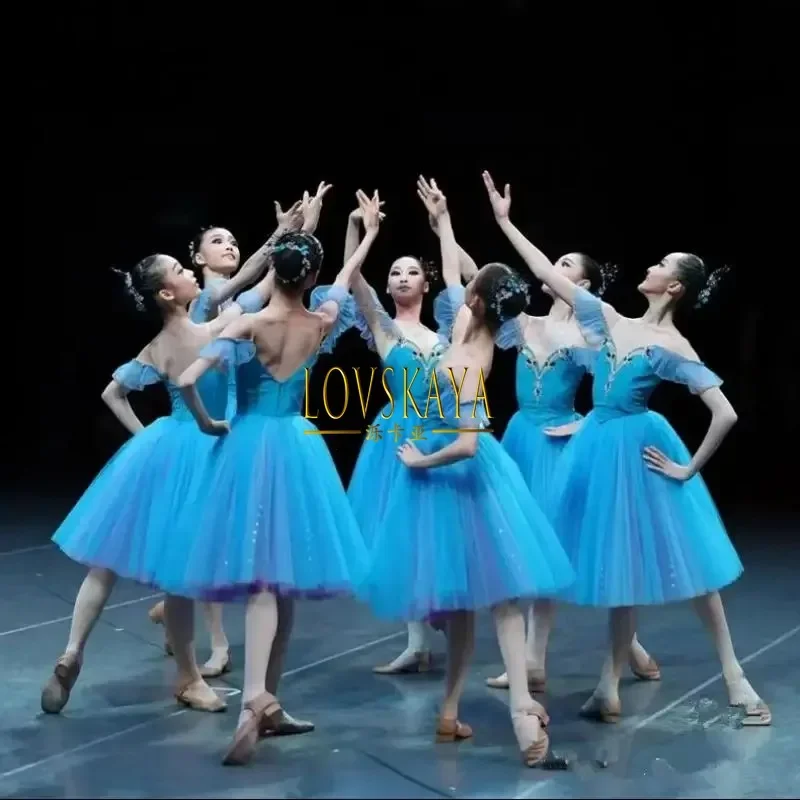 

Long Romantic Blue Ballet Dress Performance Clothes Swan Lake Ballerine Children Girls Ballet Costume