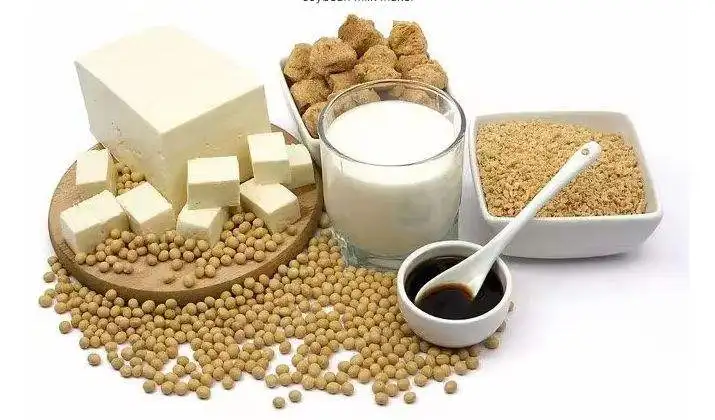 Compact Automatic Tofu Maker for Small Business and Automatic Fresh Tofu Production Machine Industrial view 6