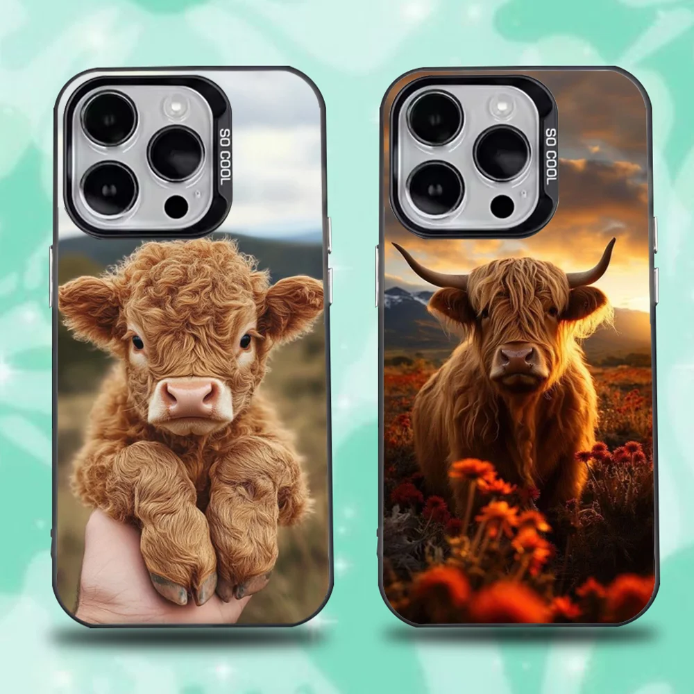 

Cute Highland Cow Phone Case For iPhone 16,15,14,13,12,11,Pro,Max,Plus,Mini,XS,SE Anti Fall Black Matte Hard Bumper