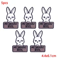 PE6083CT