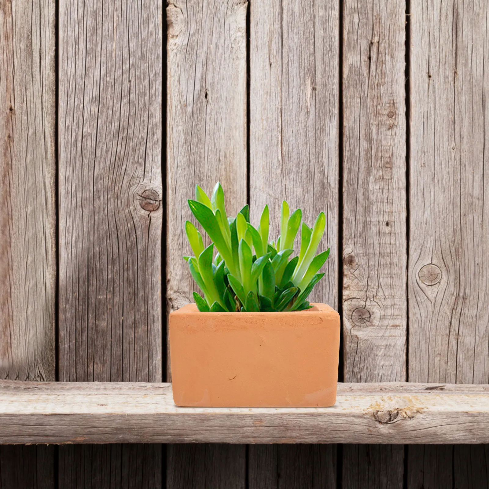 3Pcs Premium Ceramic Flowerpots Red Pottery Succulent Plant Holders Simple Sturdy Flower Containers for Desktop Indoor