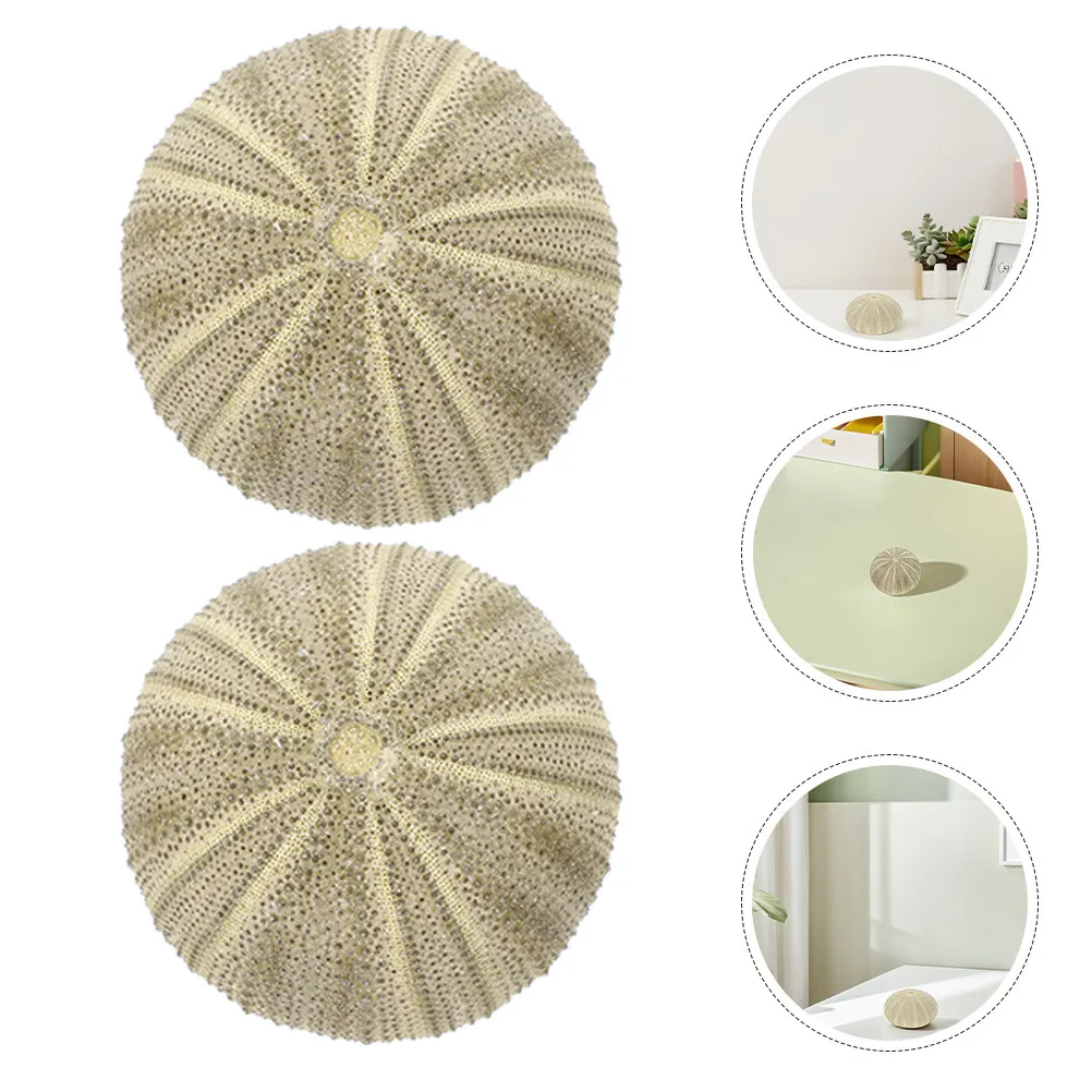 

18Pcs Sea Urchin Shells Vase Filler Natural Decorative Craft Material for DIY Home Wedding Aquarium Pond Desktop Micro