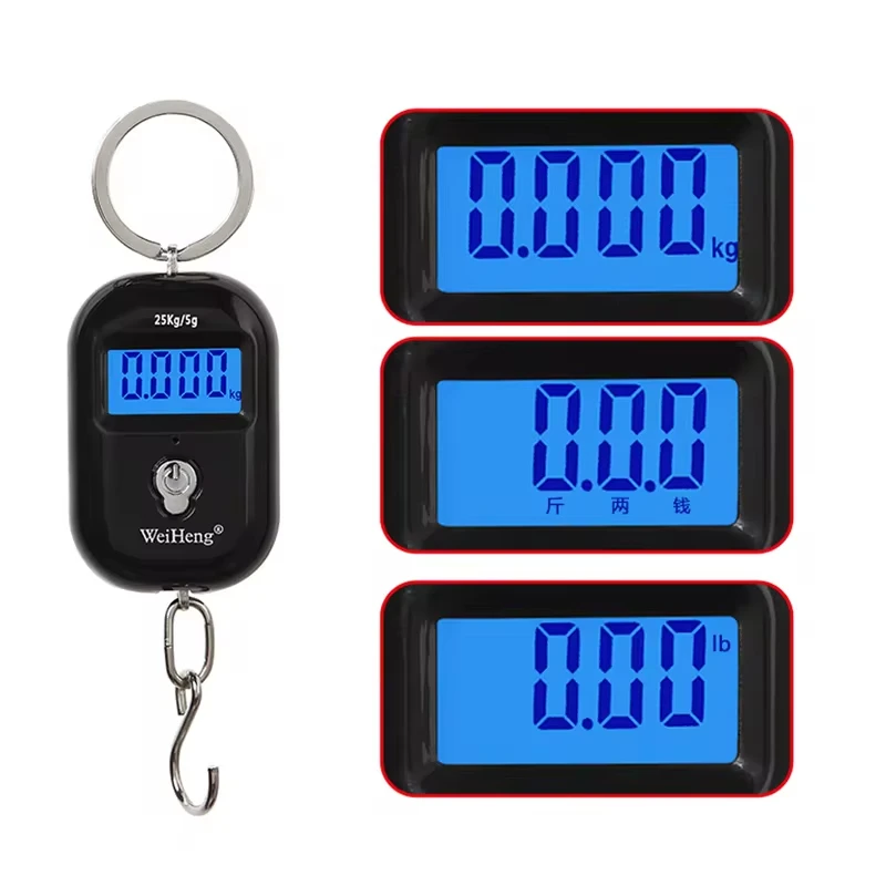 25kg/5g Electronic Scale Portable Hanging Scale Mini LCD Digital Scale for Fishing Luggage Travel Weighting Keychain Hanging